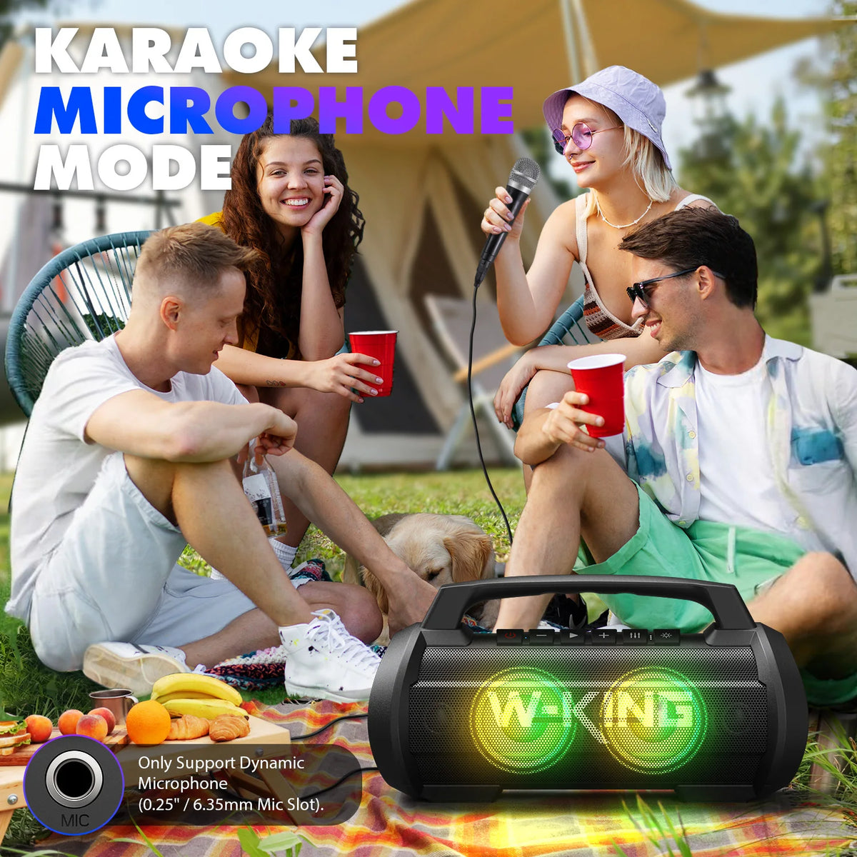 W-King D10MIC 70W RMS Bluetooth Portable Speaker