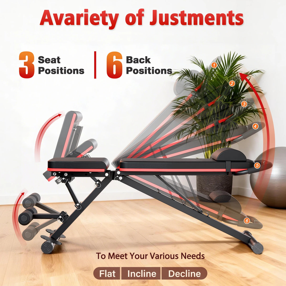 Foldable Multi Functional Dumbbell Bench for Full Body Workouts