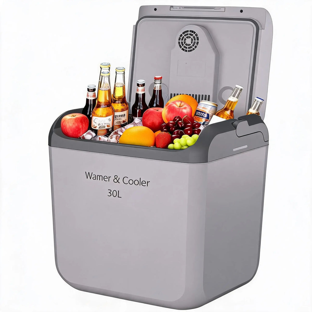 HiMiss Portable Thermoelectric Car Fridge Cooler Warmer Camping