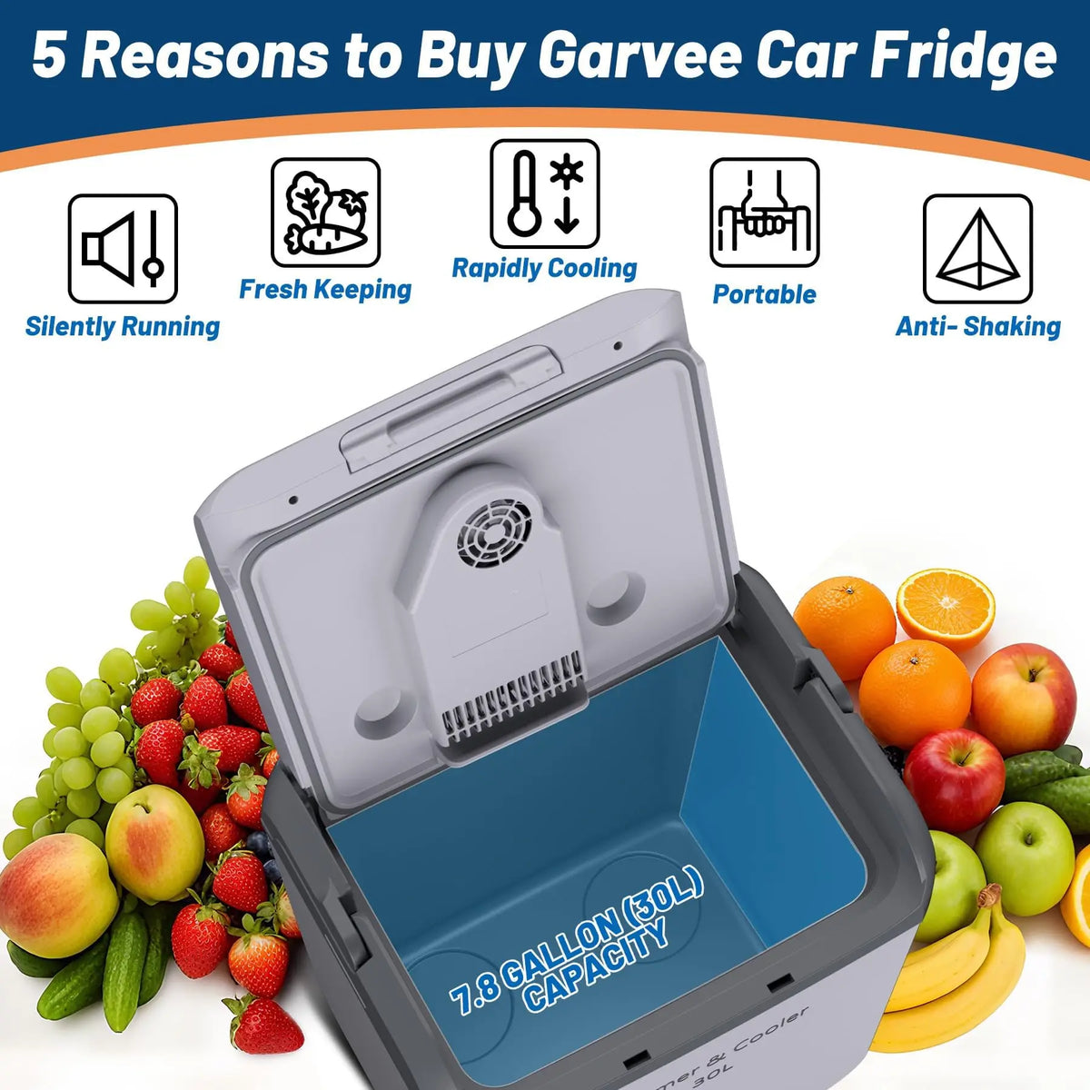 HiMiss Portable Thermoelectric Car Fridge Cooler Warmer Camping
